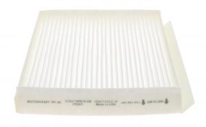 SUODATIN RAITISILMA FORD FSERIES 20152022